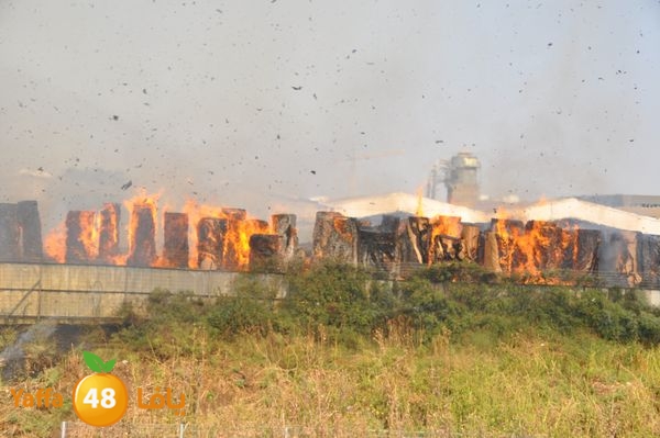 firecartoonsecnd506 (21).JPG